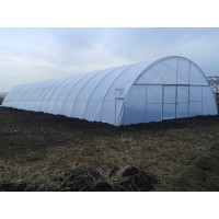 Poza 2 - Hobby greenhouses